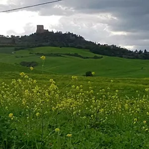 Casa vacanze La Casa Del Susino, Castiglione dʼOrcia